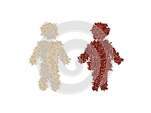 A man and woman symbol made with white and red rice grains respectively. Agriculture, food and life concepts