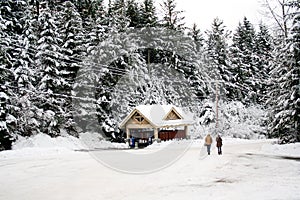 Man and woman walk in a winter snow scene