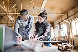 Man and woman workers working in the carpentry workshop.