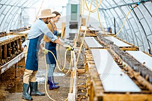 Man and woman working on the farm for snails growing