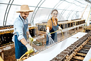 Man and woman working on the farm for snails growing