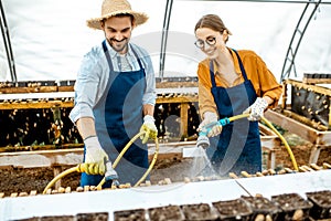 Man and woman working on the farm for snails growing