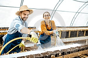 Man and woman working on the farm for snails growing