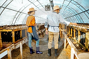 Man and woman working on the farm for snails growing