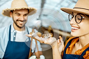 Man and woman working on the farm for snails growing
