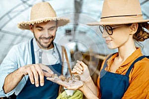 Man and woman working on the farm for snails growing