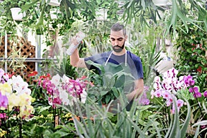 Man At Work As Florist In Flower Shop Using Spray