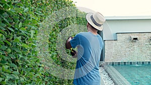 Man worker cutting trees in garden.