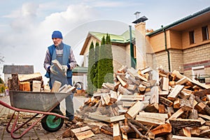 A man worker loads firewood into a wheelbarrow for heating the house,