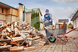 A man worker loads firewood into a wheelbarrow for heating the house,