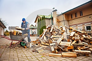 A man worker loads firewood into a wheelbarrow for heating the house,