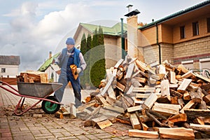 A man worker loads firewood into a wheelbarrow for heating the house,