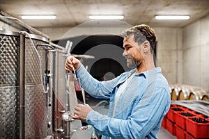 Man worker measuring gravity indoors, wine making concept.
