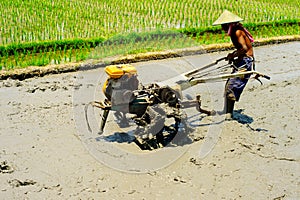 Man worker Rice field. Indonesia