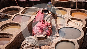 Man working as a tanner in the dye pots at leather tanneries at medina, Fez, Morocco.