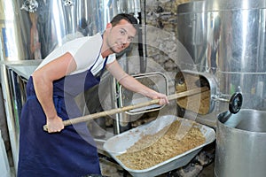 Man working with beer yeast