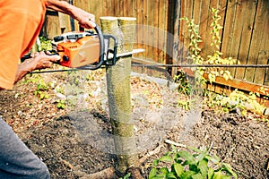 Man working with chainsaw cutting down stump