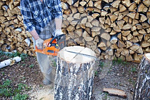 A man working a chainsaw. harvesting wood for the winter. Birch firewood