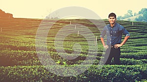 Man working on checking farm in his tea garden in the morning