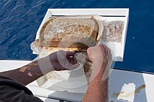 Man working with fish bait