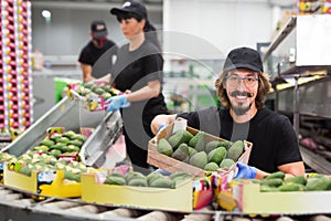 Man working at fruit warehouse carrying avocados