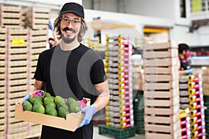 Man working at fruit warehouse carrying avocados