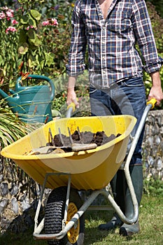 Man working in garden