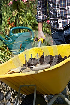 Man working in garden with wheelbarrow