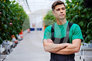 Man working in a greenhouse