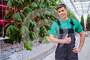 Man working in a greenhouse
