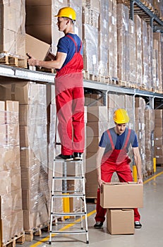 Man working at height in warehouse