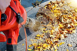 Man working with leaf blower: the leaves are being swirled up and down on a sunny day.