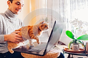 Man working online from home with pet using laptop. Ginger cat looks at screen interested in computer.