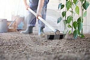 Man working in vegetable garden, hoe the ground near green plants, close up