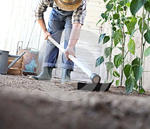 Man working in vegetable garden, hoe the ground near green plants, close up