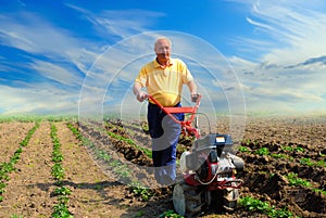 Man works in the field