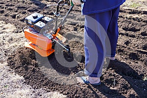 A man works in a vegetable garden in early spring. Digs the ground. Works as a cultivator, walk-behind tractor