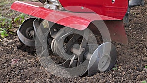 Man works in a vegetable garden with a garden cultivator. Garden cultivator for work, close-up. A man with a tractor