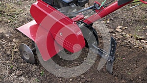 Man works in a vegetable garden with a garden cultivator. Garden cultivator for work, close-up. A man with a tractor