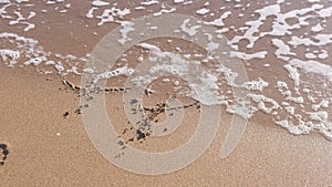 Man writes Dollar signs in the sea sand. Waves washed away the inscription.