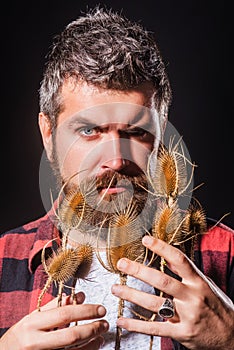 The man& x27;s beard was thick and well-groomed. Beard bristled. Male prickly stubble concept. The prickly bristle photo