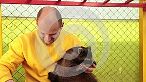 Man in a yellow sweater strokes raccoon, love for animals. Coon captivity, zoo.