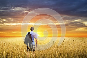 Man in yellow wheat meadow