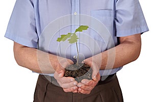 Man with young oak tree