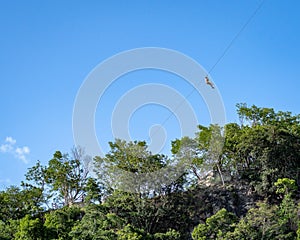 Man ziplining in the Mexican jungle