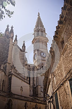 Manacor cathedral belfry photo