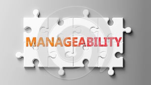 Manageability complex like a puzzle - pictured as word Manageability on a puzzle pieces to show that Manageability can be