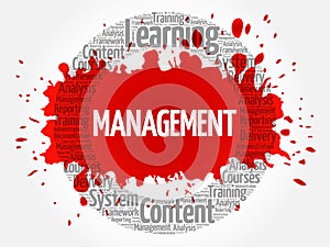 MANAGEMENT circle word cloud