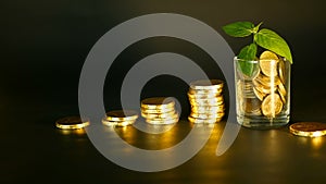 Management efficiency. Stacks of golden coins near full glass and green leaf of sprout on black background. Success.