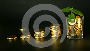 Management efficiency. Stacks of golden coins near full glass and green leaf of sprout on black background. Success.